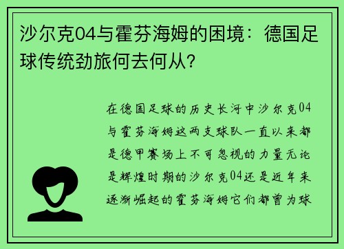 沙尔克04与霍芬海姆的困境：德国足球传统劲旅何去何从？
