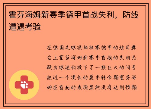 霍芬海姆新赛季德甲首战失利，防线遭遇考验
